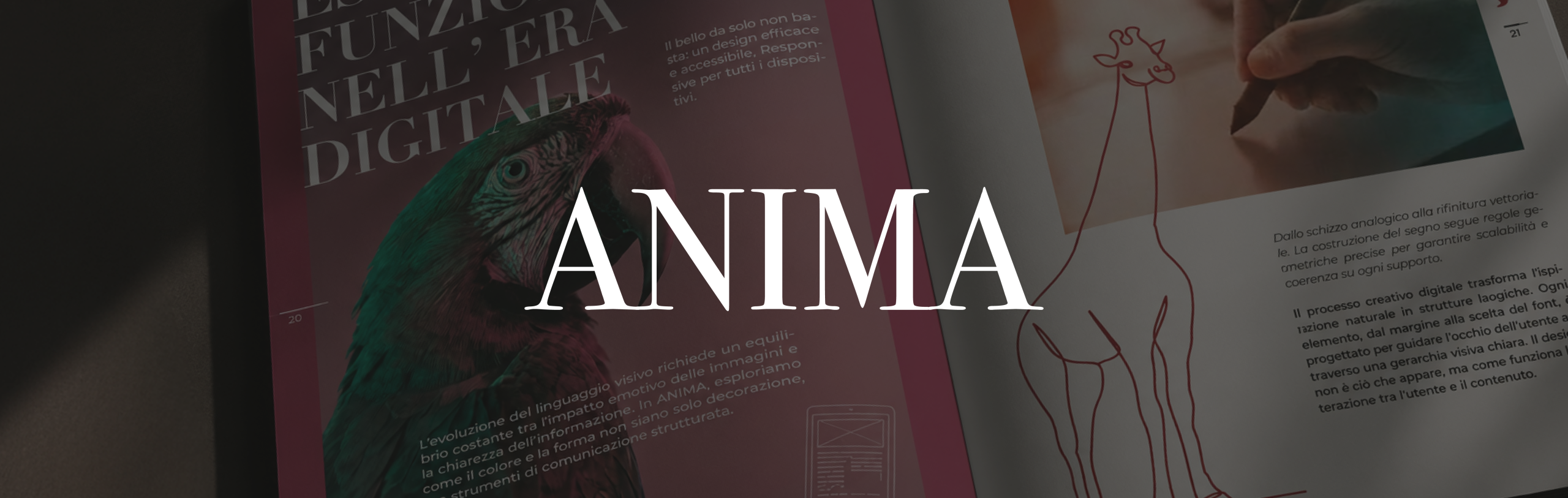 banne anima desk